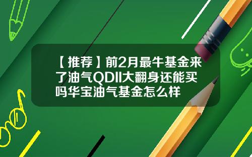 【推荐】前2月最牛基金来了油气QDII大翻身还能买吗华宝油气基金怎么样