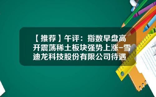【推荐】午评：指数早盘高开震荡稀土板块强势上涨-雪迪龙科技股份有限公司待遇