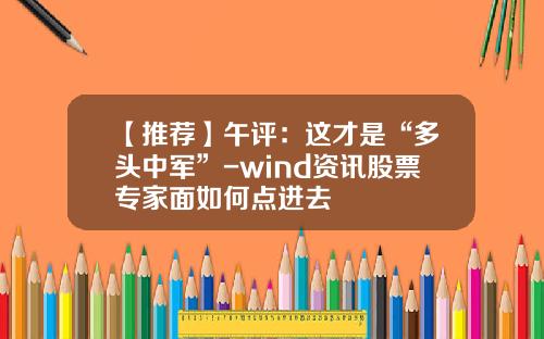 【推荐】午评：这才是“多头中军”-wind资讯股票专家面如何点进去