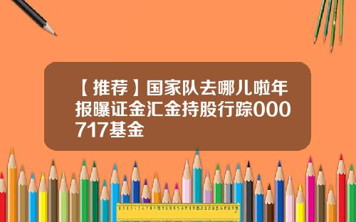 【推荐】国家队去哪儿啦年报曝证金汇金持股行踪000717基金
