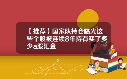 【推荐】国家队持仓曝光这些个股被连续8年持有买了多少a股汇金