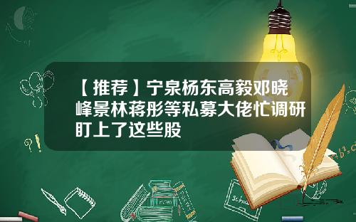 【推荐】宁泉杨东高毅邓晓峰景林蒋彤等私募大佬忙调研盯上了这些股
