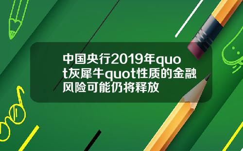 中国央行2019年quot灰犀牛quot性质的金融风险可能仍将释放