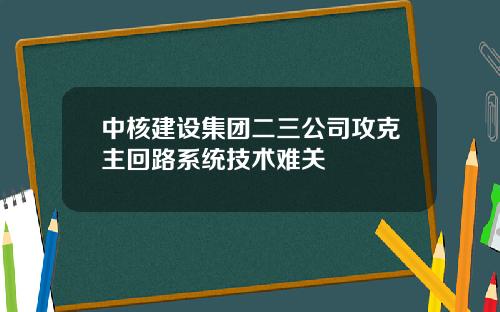 中核建设集团二三公司攻克主回路系统技术难关