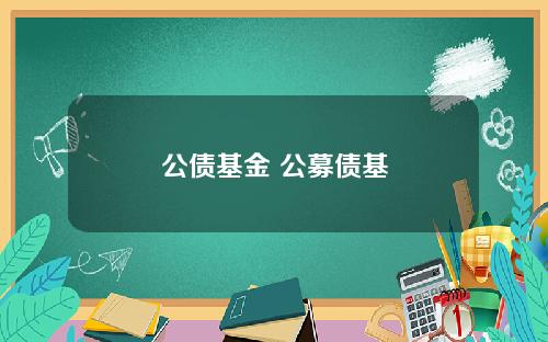 公债基金 公募债基