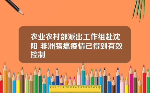 农业农村部派出工作组赴沈阳 非洲猪瘟疫情已得到有效控制