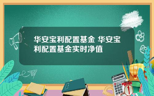 华安宝利配置基金 华安宝利配置基金实时净值