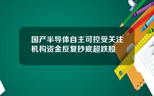 国产半导体自主可控受关注机构资金反复抄底超跌股