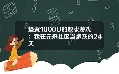 垫资1000U的奴隶游戏：我在元来社区当炮灰的24天