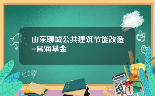 山东聊城公共建筑节能改造-昌润基金