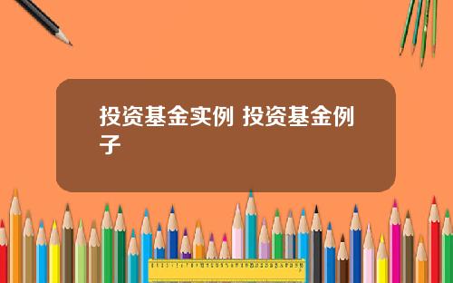 投资基金实例 投资基金例子