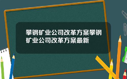 攀钢矿业公司改革方案攀钢矿业公司改革方案最新
