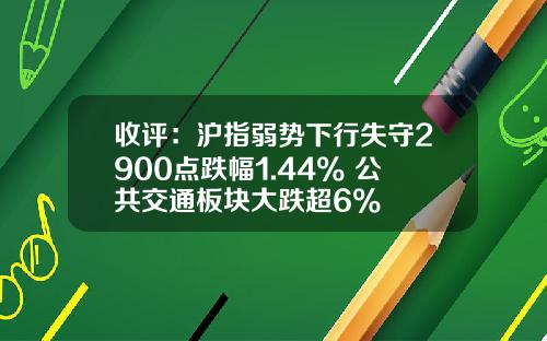 收评：沪指弱势下行失守2900点跌幅1.44% 公共交通板块大跌超6%
