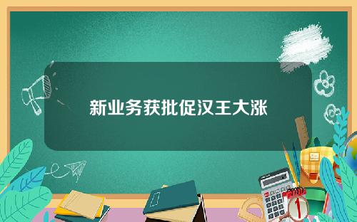 新业务获批促汉王大涨