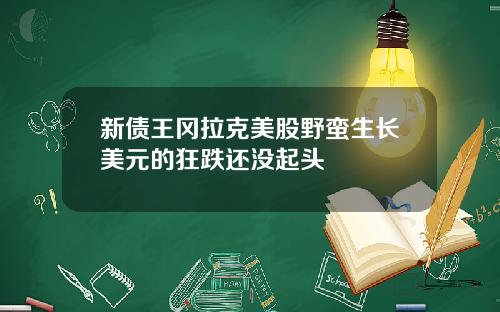 新债王冈拉克美股野蛮生长美元的狂跌还没起头