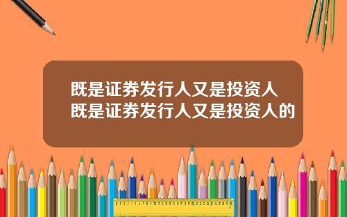 既是证券发行人又是投资人既是证券发行人又是投资人的