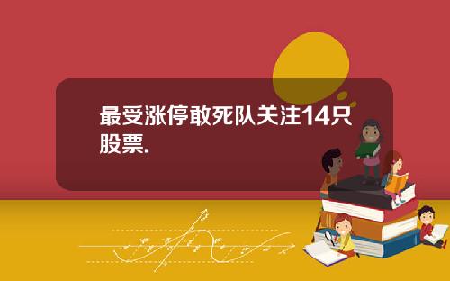 最受涨停敢死队关注14只股票.