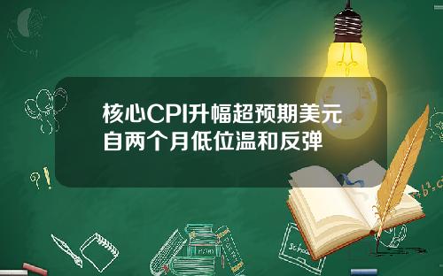 核心CPI升幅超预期美元自两个月低位温和反弹