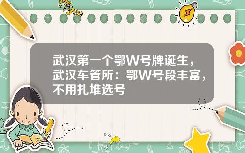 武汉第一个鄂W号牌诞生，武汉车管所：鄂W号段丰富，不用扎堆选号