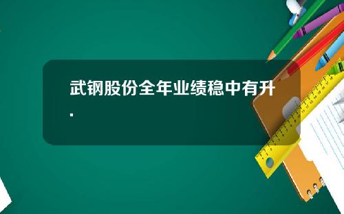 武钢股份全年业绩稳中有升.