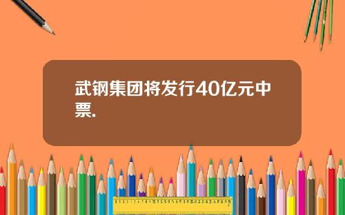 武钢集团将发行40亿元中票.