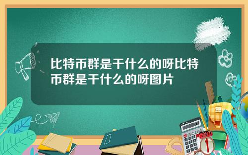 比特币群是干什么的呀比特币群是干什么的呀图片