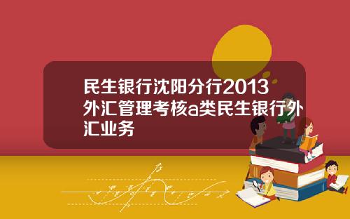 民生银行沈阳分行2013外汇管理考核a类民生银行外汇业务