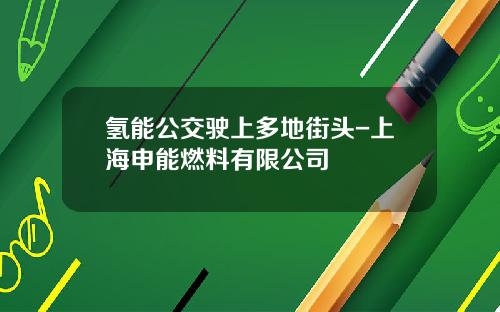 氢能公交驶上多地街头-上海申能燃料有限公司