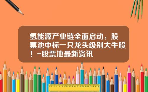 氢能源产业链全面启动，股票池中标一只龙头级别大牛股！-股票池最新资讯