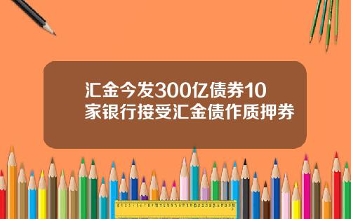 汇金今发300亿债券10家银行接受汇金债作质押券