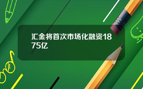 汇金将首次市场化融资1875亿