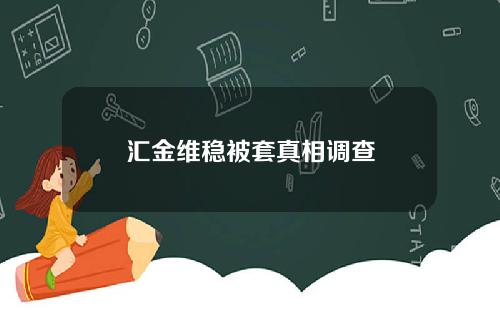 汇金维稳被套真相调查