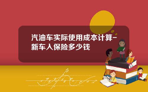 汽油车实际使用成本计算-新车入保险多少钱