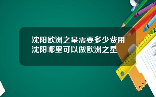 沈阳欧洲之星需要多少费用沈阳哪里可以做欧洲之星