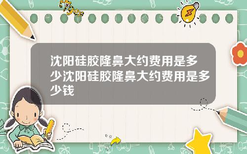 沈阳硅胶隆鼻大约费用是多少沈阳硅胶隆鼻大约费用是多少钱