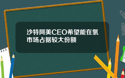 沙特阿美CEO希望能在氢市场占据较大份额