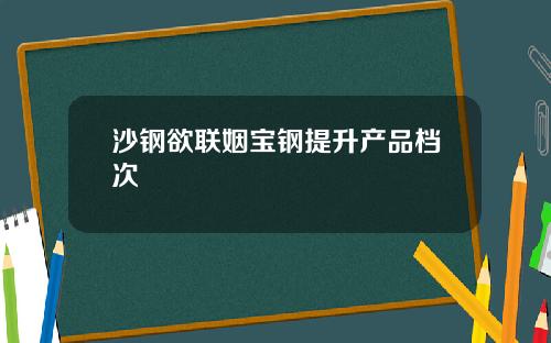 沙钢欲联姻宝钢提升产品档次