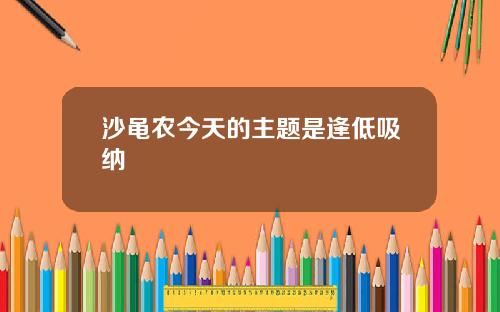 沙黾农今天的主题是逢低吸纳