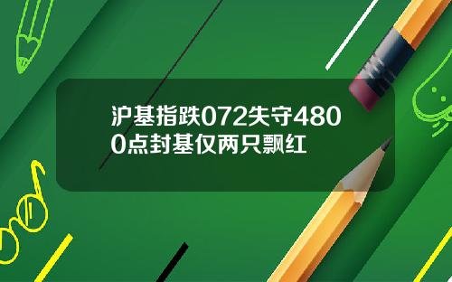 沪基指跌072失守4800点封基仅两只飘红