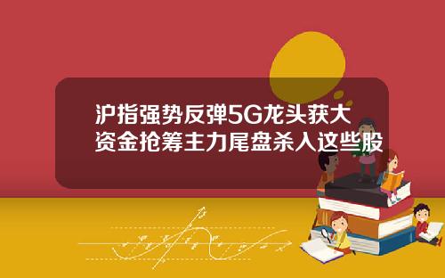 沪指强势反弹5G龙头获大资金抢筹主力尾盘杀入这些股