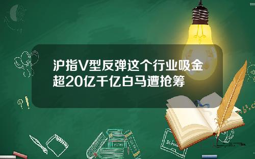沪指V型反弹这个行业吸金超20亿千亿白马遭抢筹