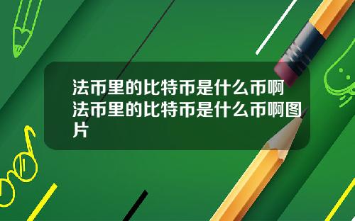 法币里的比特币是什么币啊法币里的比特币是什么币啊图片