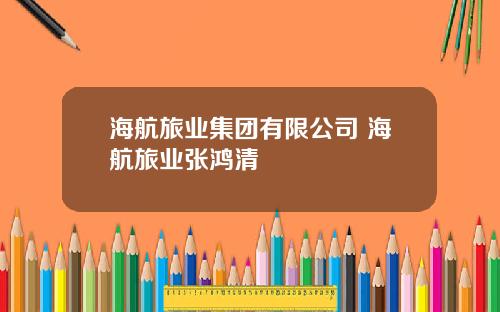 海航旅业集团有限公司 海航旅业张鸿清