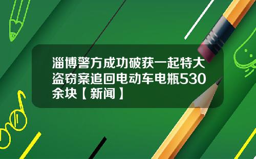 淄博警方成功破获一起特大盗窃案追回电动车电瓶530余块【新闻】