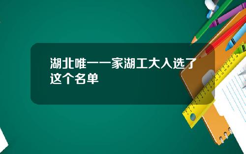 湖北唯一一家湖工大入选了这个名单