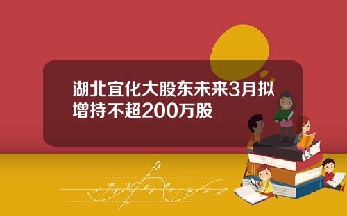 湖北宜化大股东未来3月拟增持不超200万股