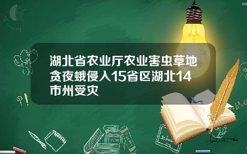 湖北省农业厅农业害虫草地贪夜蛾侵入15省区湖北14市州受灾