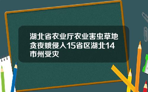 湖北省农业厅农业害虫草地贪夜蛾侵入15省区湖北14市州受灾