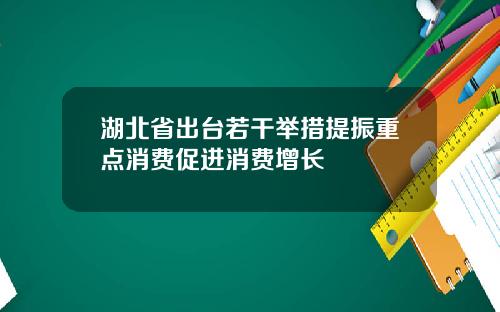 湖北省出台若干举措提振重点消费促进消费增长