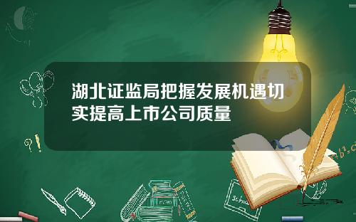 湖北证监局把握发展机遇切实提高上市公司质量